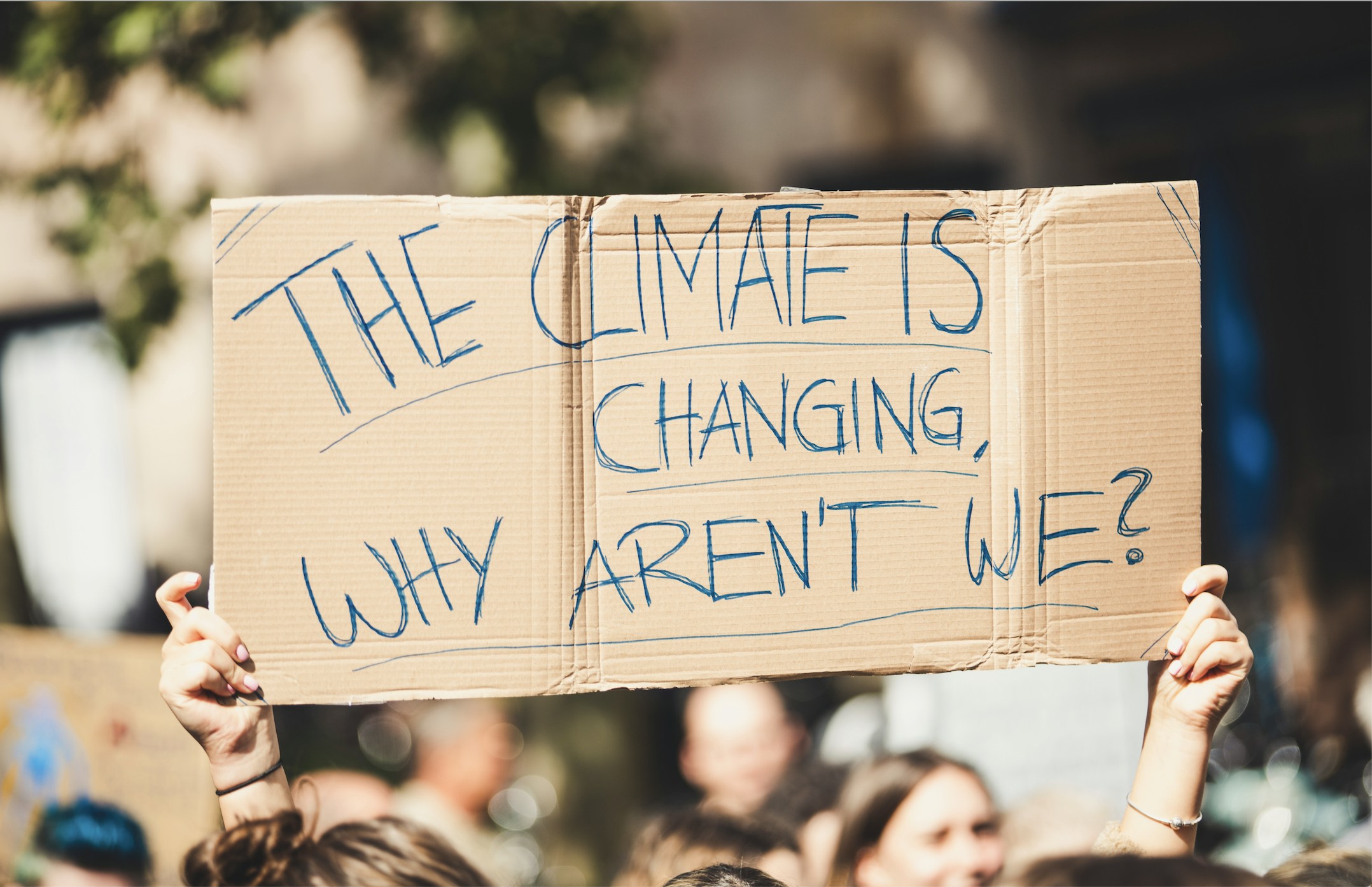 Mission-Driven Brands: Creating Value with Values