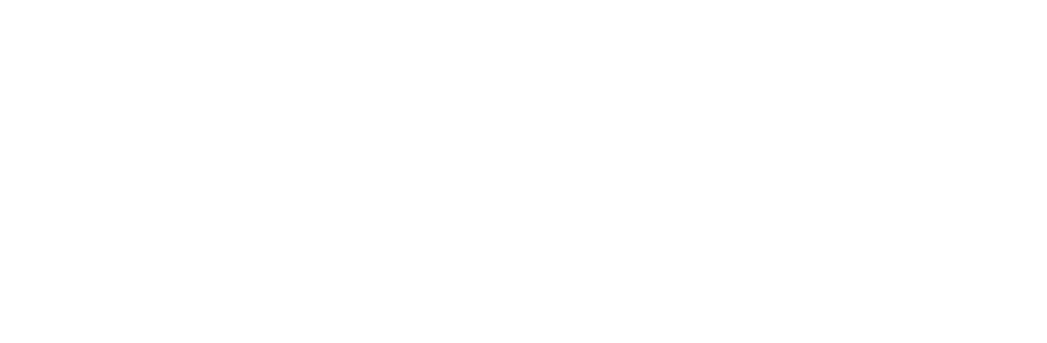Portfolio Gallery Image